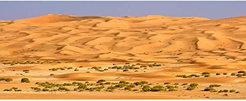 Винил фон за терариум с размери 24x12 инча, оазис Гоби, оранжева пустиня, местообитание на влечугите